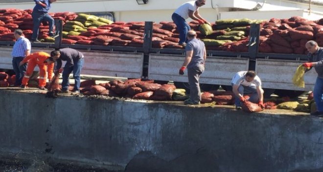 İzmir’de 24 ton kaçak midyeye el konuldu