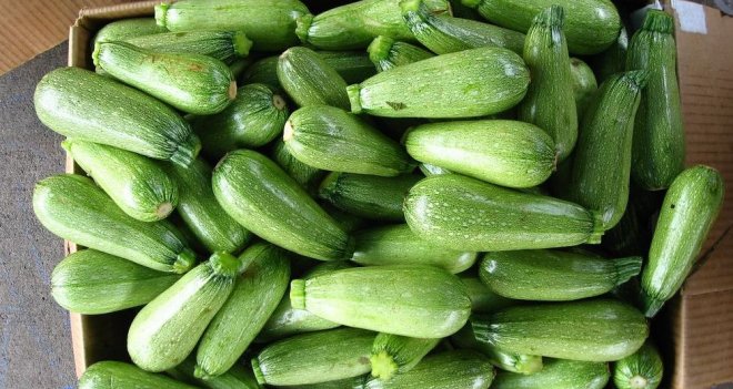 İzmir'de zam şampiyonu kabak