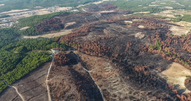 İzmir'in ciğerlerini yakan yangının izleri siliniyor