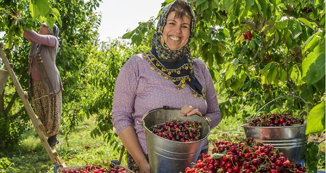 İzmir'li çiftçiler lider çıktı...