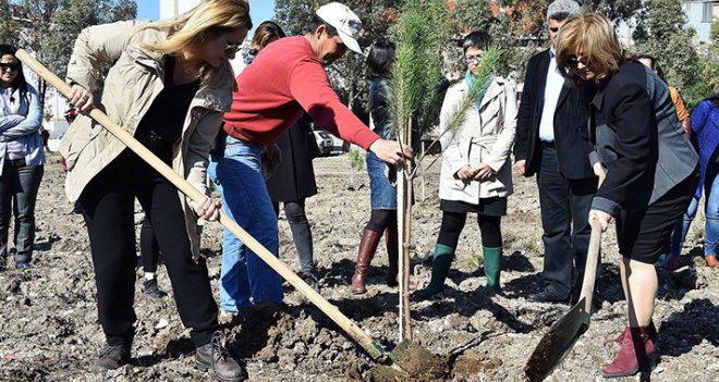 Kadınlara özel hatıra ormanı