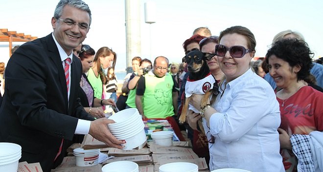Karşıyaka Belediyesi'nden kedi evleri...