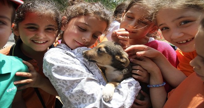 Karşıyaka Belediyesi'nden sokak hayvanlarına daha iyi hizmet için seferberlik...