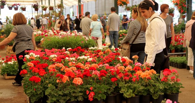 Karşıyaka Çiçek Festivali için geri sayım başladı