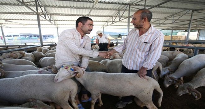 Karşıyaka, Kurban Bayramı'na hazır