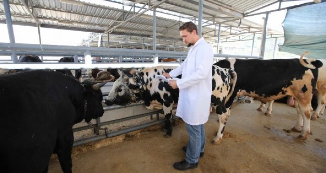 Karşıyaka Kurban Bayramı’na hazır