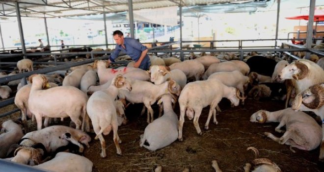 Karşıyaka Kurban Bayramı’na hazır