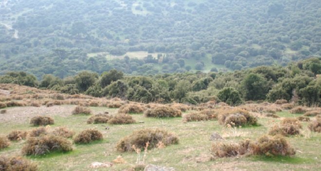 Karşıyaka Yamanlar'a kurulacak çöplük mahkemeye taşındı