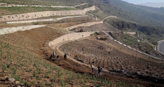 Karşıyaka yeşile bürünüyor