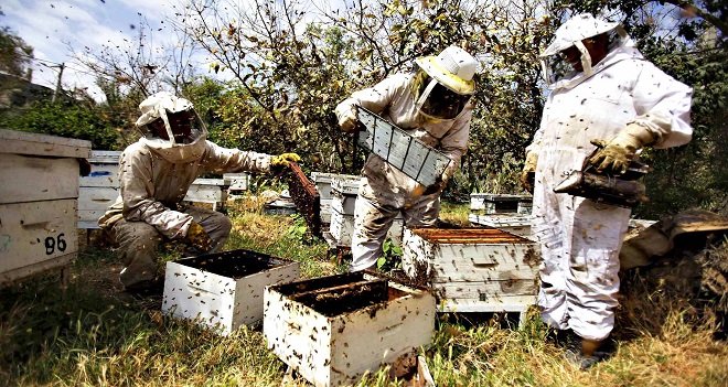 Karşıyaka’da bala kadın eli değdi…