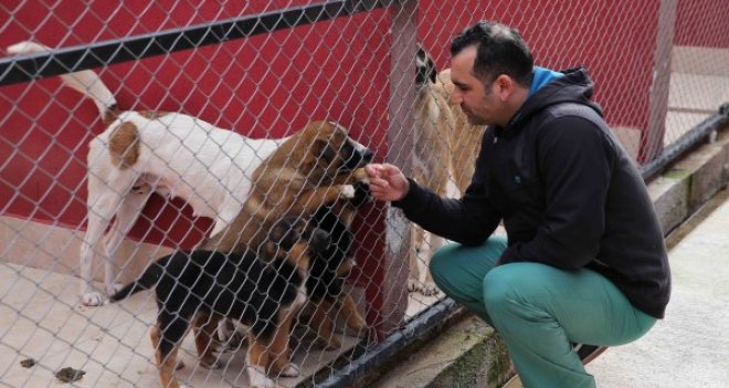 Karşıyaka'da can dostlara 5 yıldızlı yuva