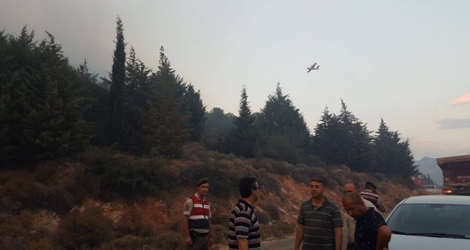 Karşıyaka'da çıkan orman yangını sabotaj mı?