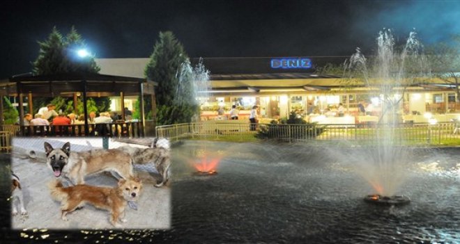 Karşıyakalılar yemeklerini can dostlarla paylaşacak