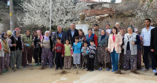 Karşıyaka'nın köylerine 2 bin adet meyve fidanı