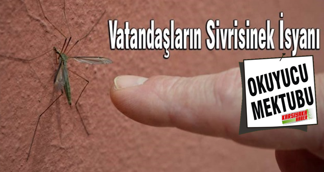 Karşıyaka'yı sivrisinekler istila etti...