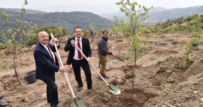 Kayadibi’nde fidanlar toprakla buluştu