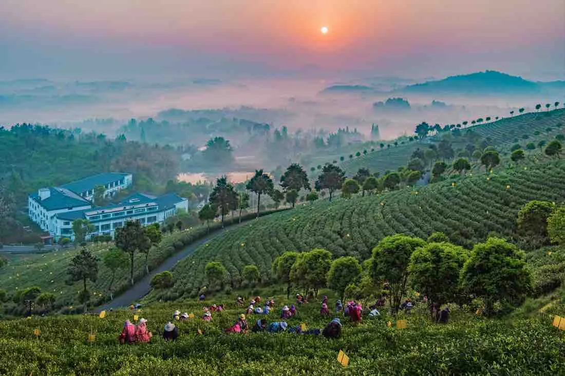 Kardeş Kadrajlar Uluslararası Fotoğraf Yarışması'nda kazananlar belli oldu