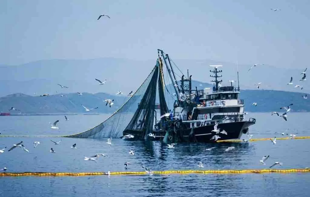 Denizlerde av yasağı 15 Nisan'da başlıyor