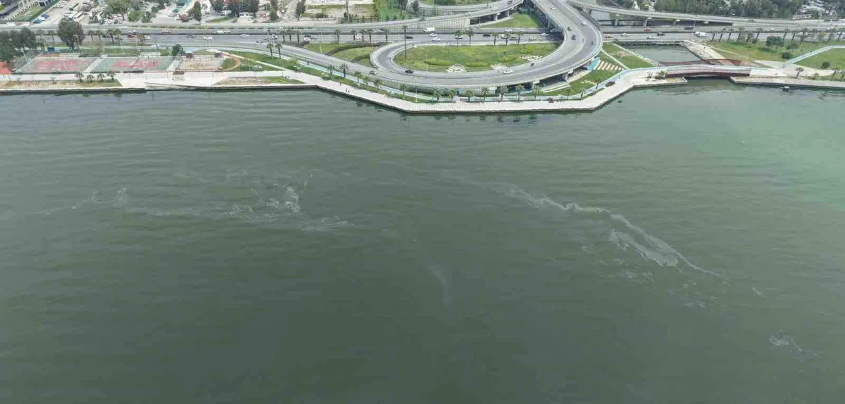 İzmir Körfezi’nde yine dış kaynaklı kirlilik tespit edildi