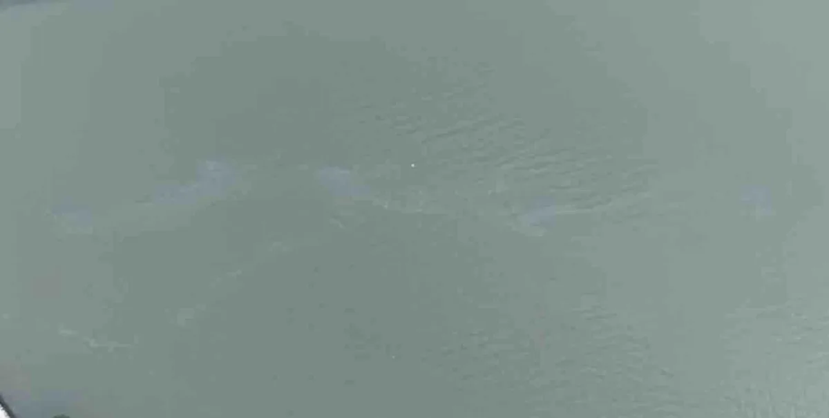 Körfezi yine kirlettiler...