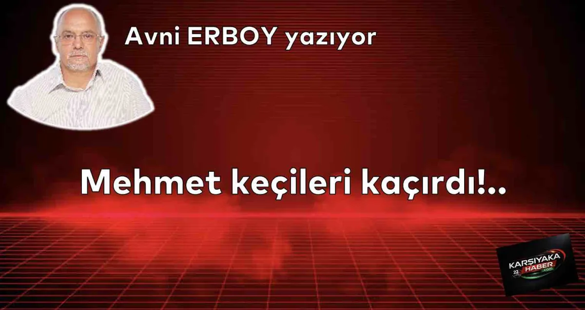 Mehmet keçileri kaçırdı!..