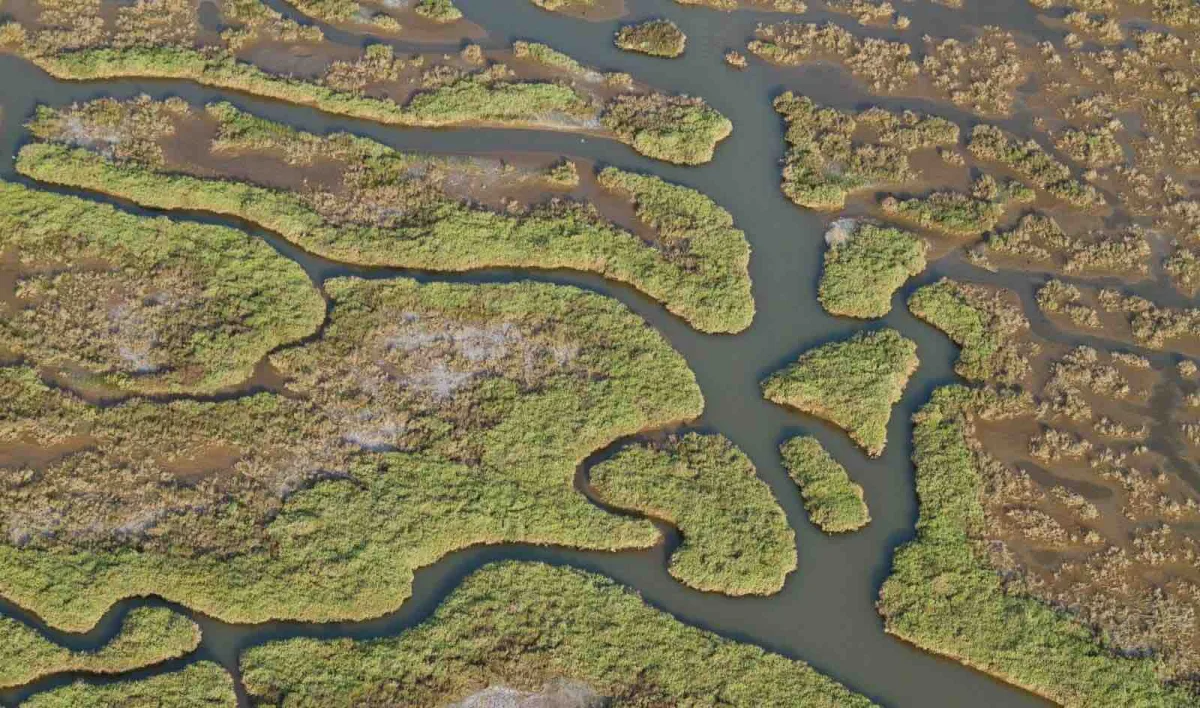 Gediz Havzası’nda kirlilik artıyor