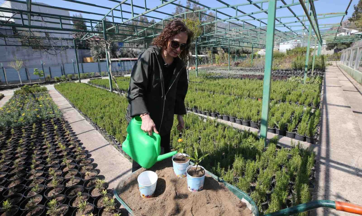 Karşıyaka'da parklar çiçek açıyor