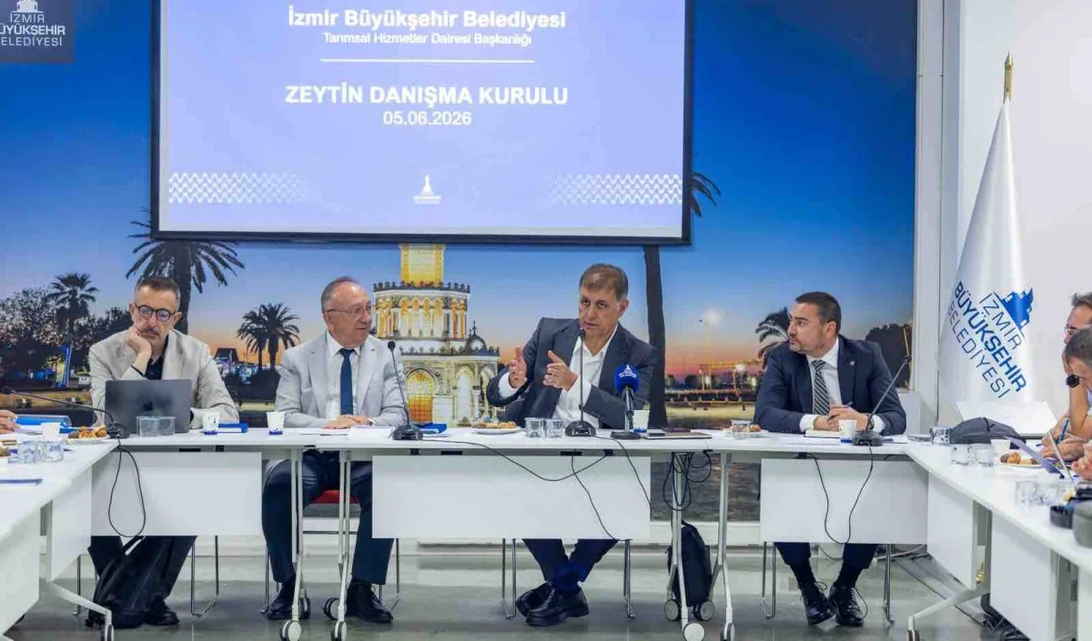 Başkan Tugay: Zeytinin değerini ekonomiye yansıtmalıyız