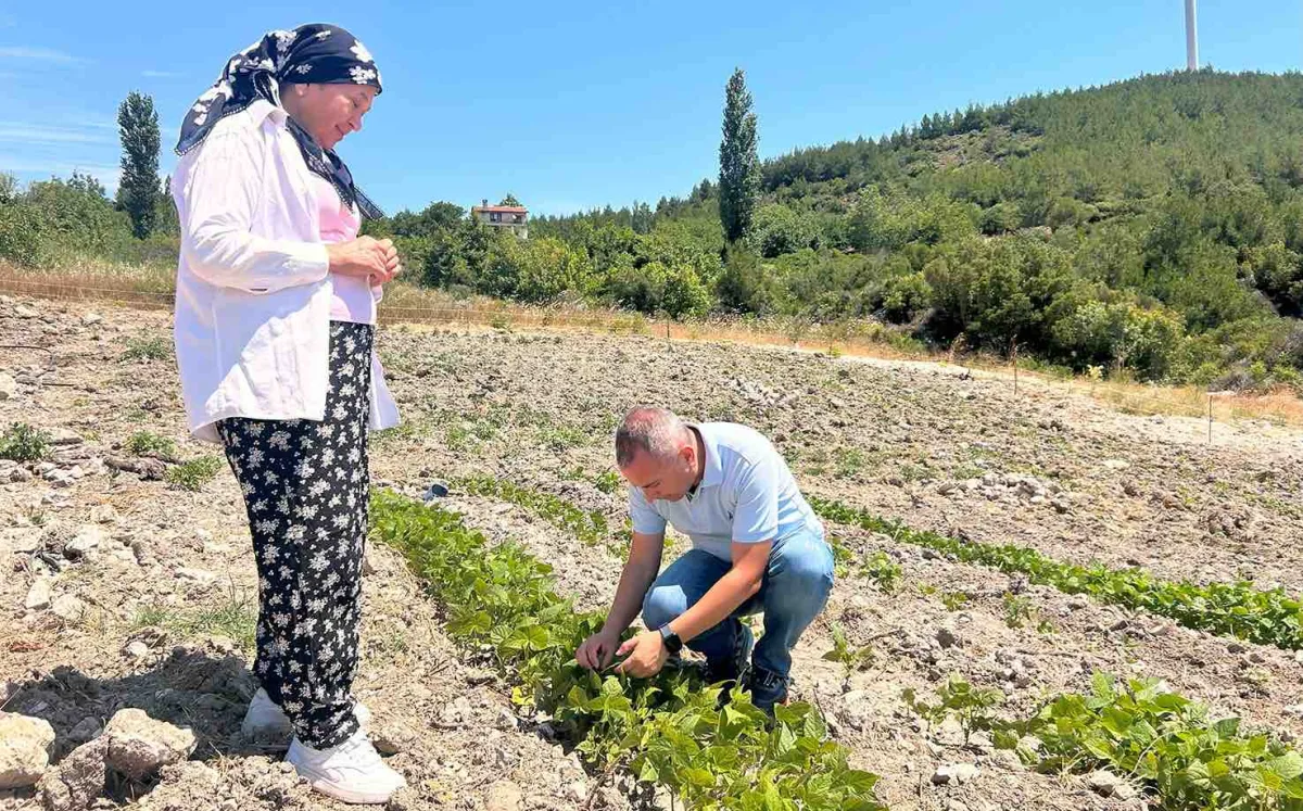Bornova’datarıma can suyu