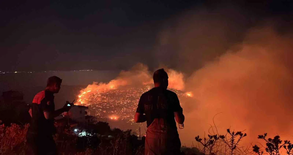 İzmir’in kuzeyinde orman yangını alarmı