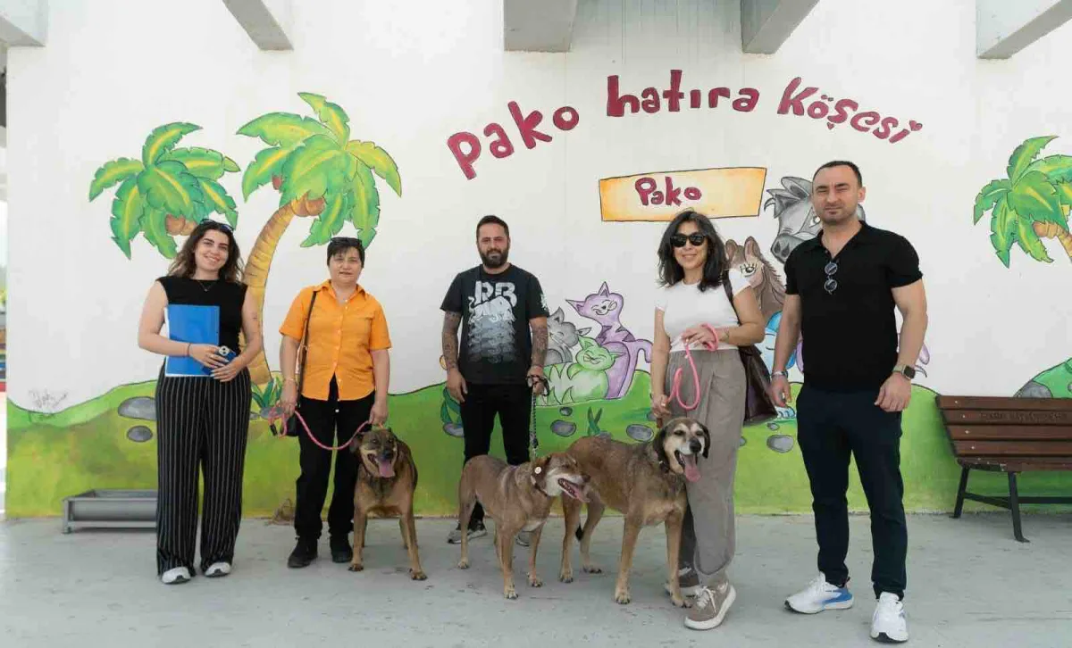 “Patili Dostlar İş Başında”