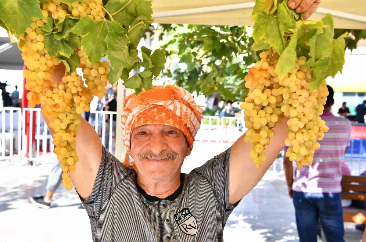 Urla’da 2600 yıllık gelenek; Bağbozumu Şenlikleri başlıyor