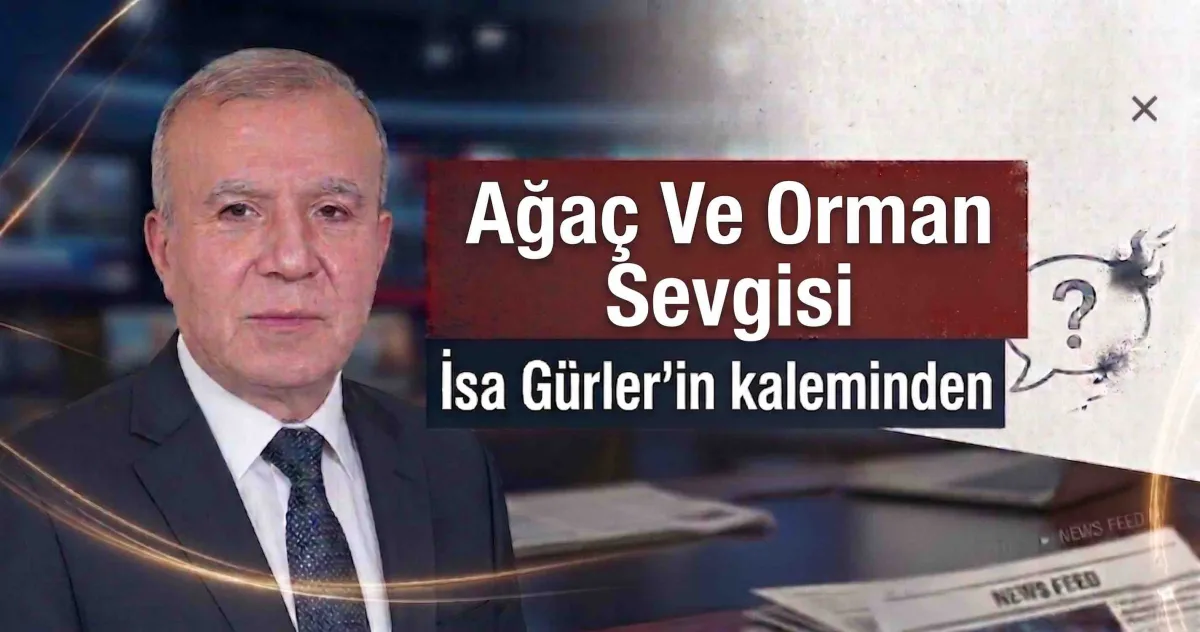 Ağaç Ve Orman Sevgisi