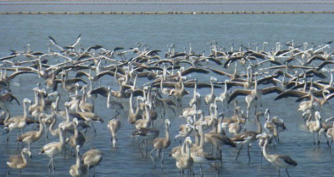 Kuş Cenneti'nin farkı...
