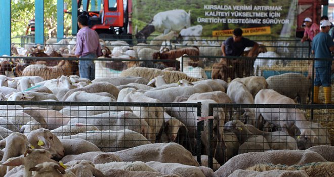 Madenci ailelere ''can suyu'' olacak