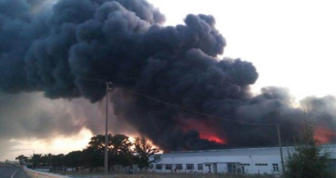 Mandalina Festivali'nde korkutan yangın