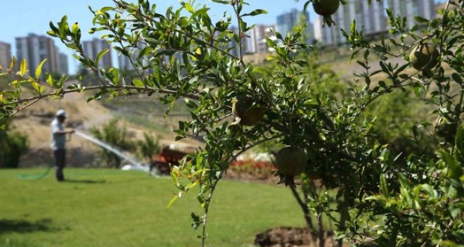 Muhtarlar Parkı, 19 Ekim Muhtarlar Günü’nde hizmete sunulacak