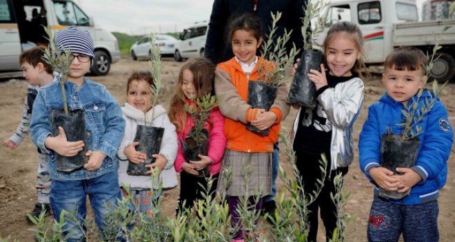 Mustafa Kemal Mahallesi’ne 200 zeytin fidanı