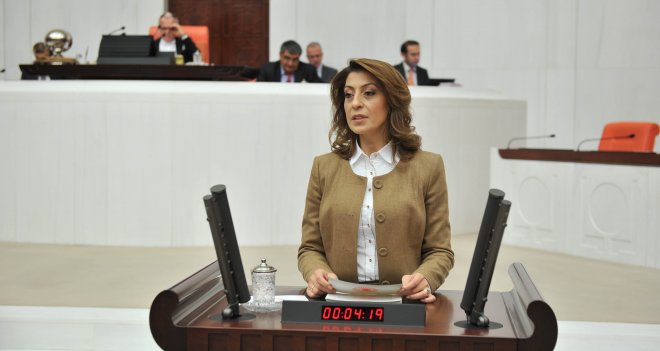 Nesrin Ulema’dan 2015 müjdeleri
