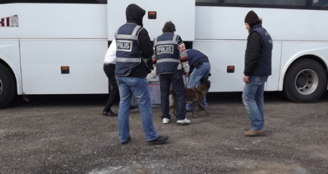 Otobüste 181 kilo esrar bulundu