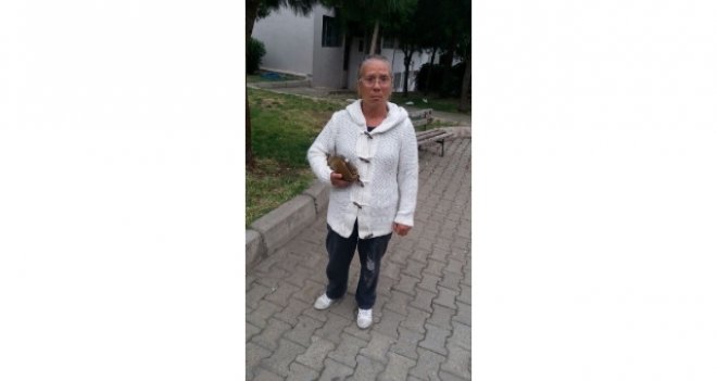 PARKTA YAŞAYAN ANNENİN FERYADI