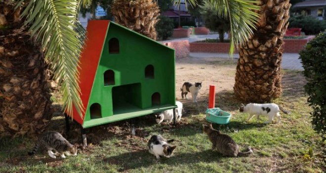 Sahipsiz hayvanlara, soğuk havada sıcak yuva