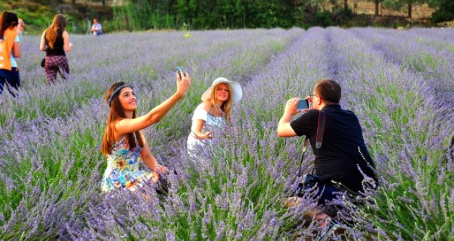 Sakin Şehir'de Lavanta Şenliği