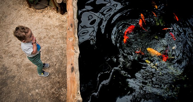 ''Sizin Gözünüzden Doğal Yaşam'' yarışması sonuçlandı