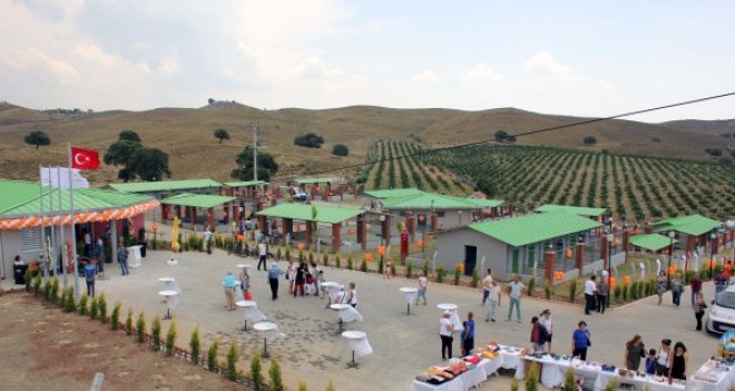 Sokak hayvanlarına beş yıldızlı yuva