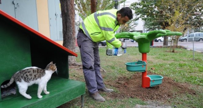 Sokak hayvanlarına sıcak yuva