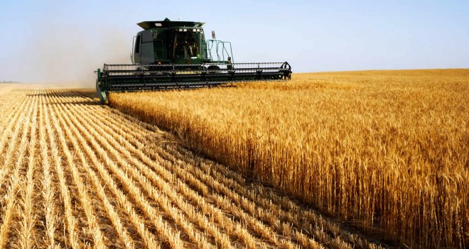 Tarım'da ÜFE artıyor