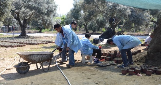 Tarımsal üretim engel tanımıyor