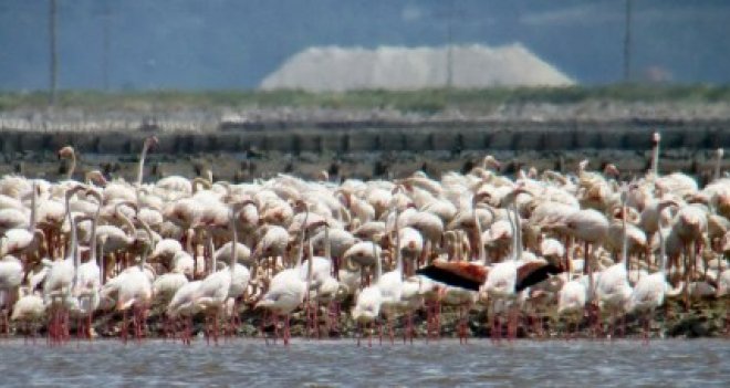 Tunç Soyer'e "Sıkı" destek