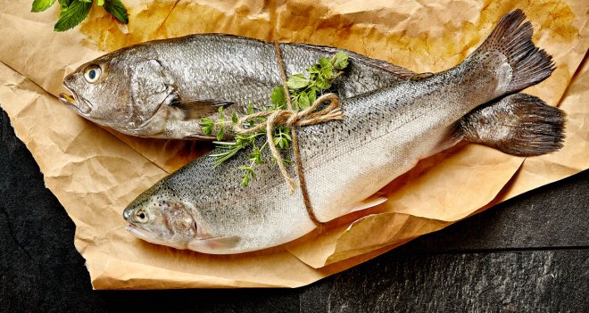 Türk su ürünleri Türkmenistan'da görücüye çıkacak